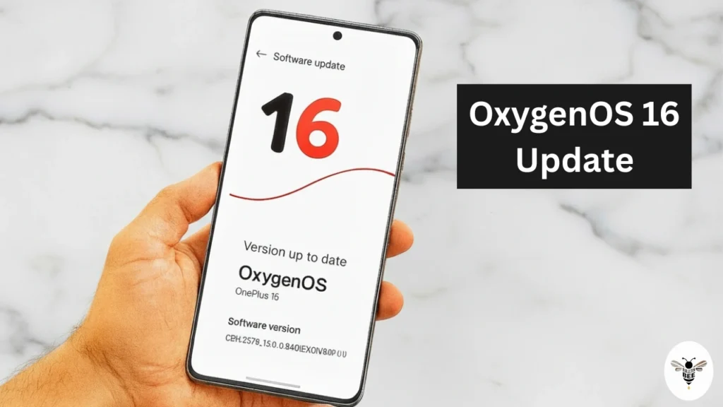 oxygenos-16-update-launch-date-reveal-mobile-07-oct
