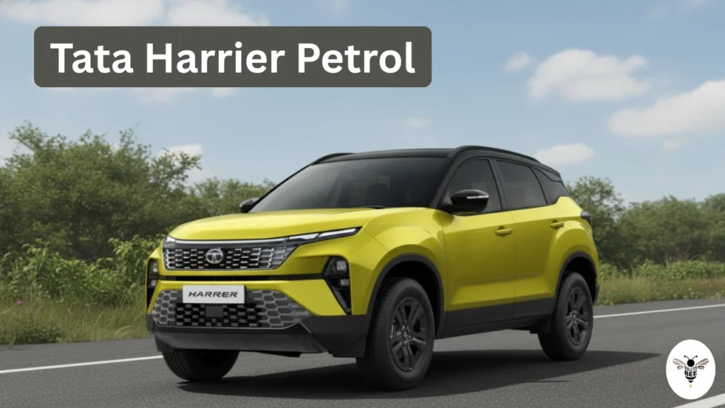 tata-harrier-petrol-car-08-jan